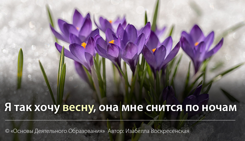 Хочу весну картинки. Хочется весны. Хочу весну. Так хочется весны. Уже так хочется весны.